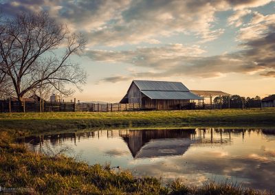 Friendship Farm